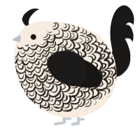 A cream and sable chicken with a double-lace pattern