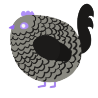 A ash and sable chicken with a lace pattern