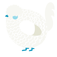A white chicken with a lace pattern