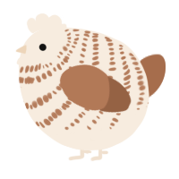 A cream and brown chicken with a bar pattern