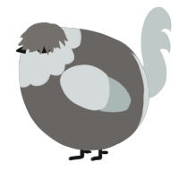 A grey and silver chicken with a head pattern