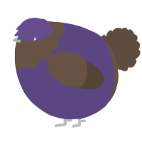 A overcast and bark chicken with a head pattern
