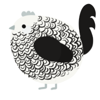A white and sable chicken with a double-lace pattern