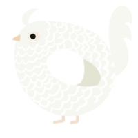 A white chicken with a lace pattern