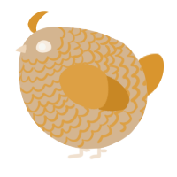 A beige and orange chicken with a lace pattern