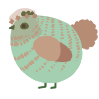 A aqua and red chicken with a bar pattern