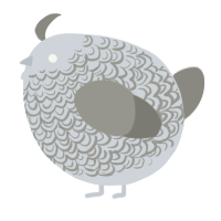 A mist and ash chicken with a double-lace pattern