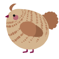 A beige and brown chicken with a bar pattern