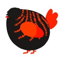 A sable and vermilion chicken with a half-bar pattern