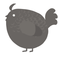 A grey chicken with a half-lace pattern