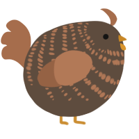 A bark and brown chicken with a bar pattern