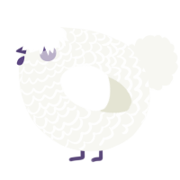 A white chicken with a lace pattern