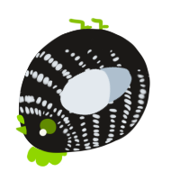 A sable and mist chicken with a bar pattern