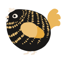 A sable and honey chicken with a bar pattern