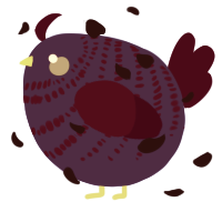 A indigo and maroon chicken with a bar pattern