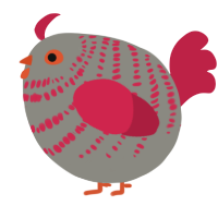 A ash and crimson chicken with a bar pattern