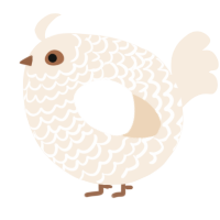 A cream chicken with a lace pattern