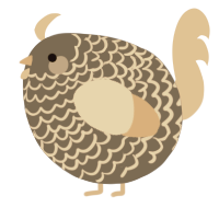A grey and beige chicken with a lace pattern