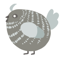 A ash and silver chicken with a bar pattern