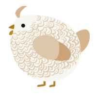 A white and beige chicken with a double-lace pattern