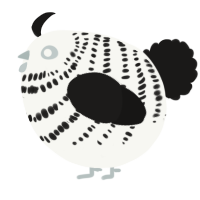 A white and sable chicken with a bar pattern