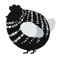 A black and mist chicken with a bar pattern