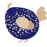 A navy and beige chicken with a speckle pattern