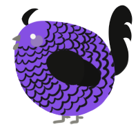 A blurple and black chicken with a lace pattern