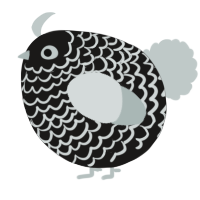 A sable and silver chicken with a lace pattern