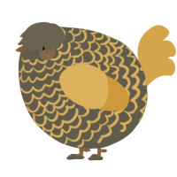 A grey and honey chicken with a lace pattern
