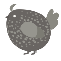 A grey and ash chicken with a speckle pattern
