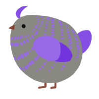 A ash and blurple chicken with a bar pattern