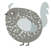 A ash and silver chicken with a speckle pattern