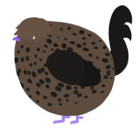 A bark and sable chicken with a speckle pattern