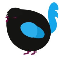 A black and sky chicken