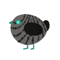 A grey and black chicken with a bar pattern