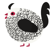A white and sable chicken with a double-lace pattern