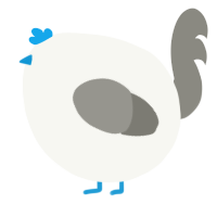 A white and ash chicken