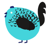 A aqua and sable chicken with a half-lace pattern