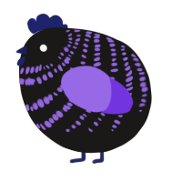A sable and blurple chicken with a bar pattern