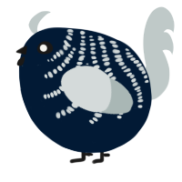 A tumblr and silver chicken with a half-bar pattern