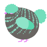 A grey and mint chicken with a bar pattern
