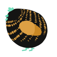 A black and orange chicken with a bar pattern