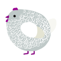 A silver and white chicken with a double-lace pattern