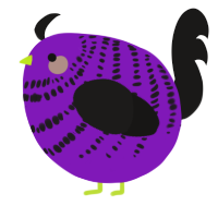 A violet and sable chicken with a bar pattern