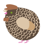 A bark and beige chicken with a lace pattern