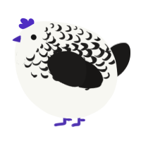 A white and sable chicken with a half-lace pattern