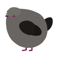 A grey and sable chicken