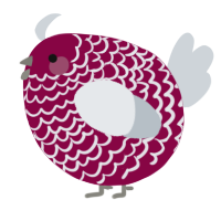 A maroon and mist chicken with a lace pattern