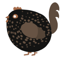A black and bark chicken with a speckle pattern